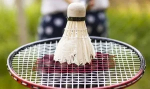 cầu lông tại V9Bet